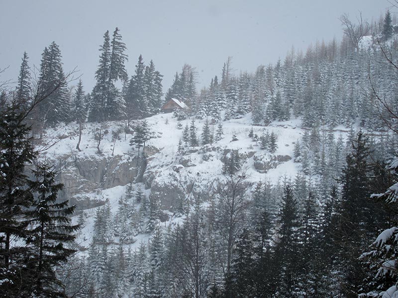 Kuhschneeberg